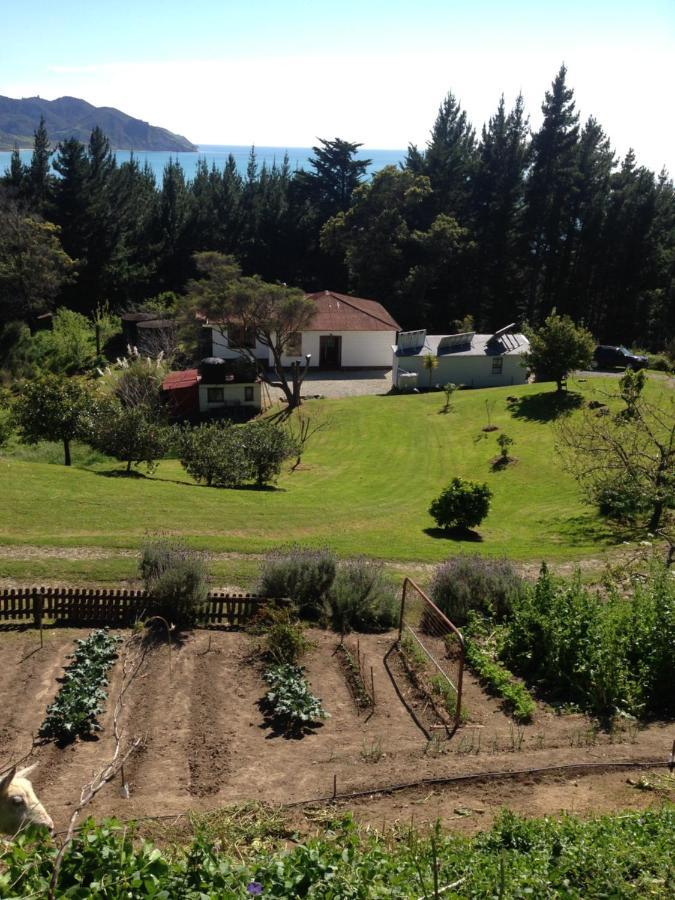 Waipiro Bay Paradise Bed & Breakfast Te Puia Exterior foto