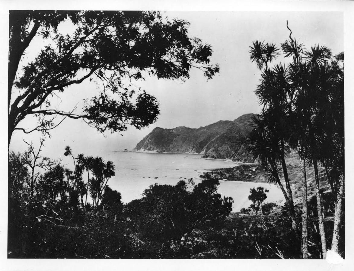 Waipiro Bay Paradise Bed & Breakfast Te Puia Exterior foto